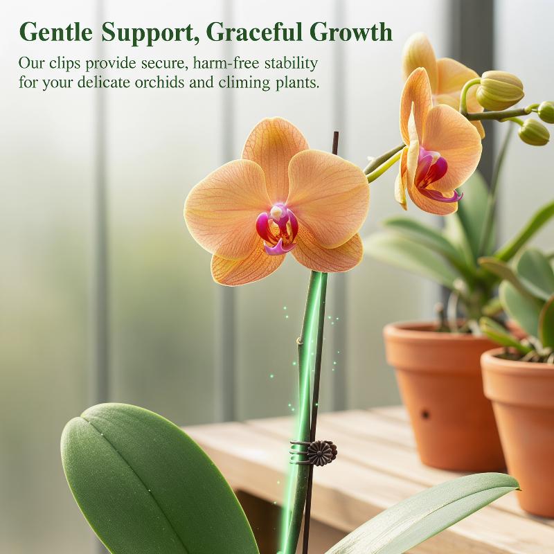 Florist Supply Bulk - 50Pcs Plant Fixed Clip Butterfly Orchid