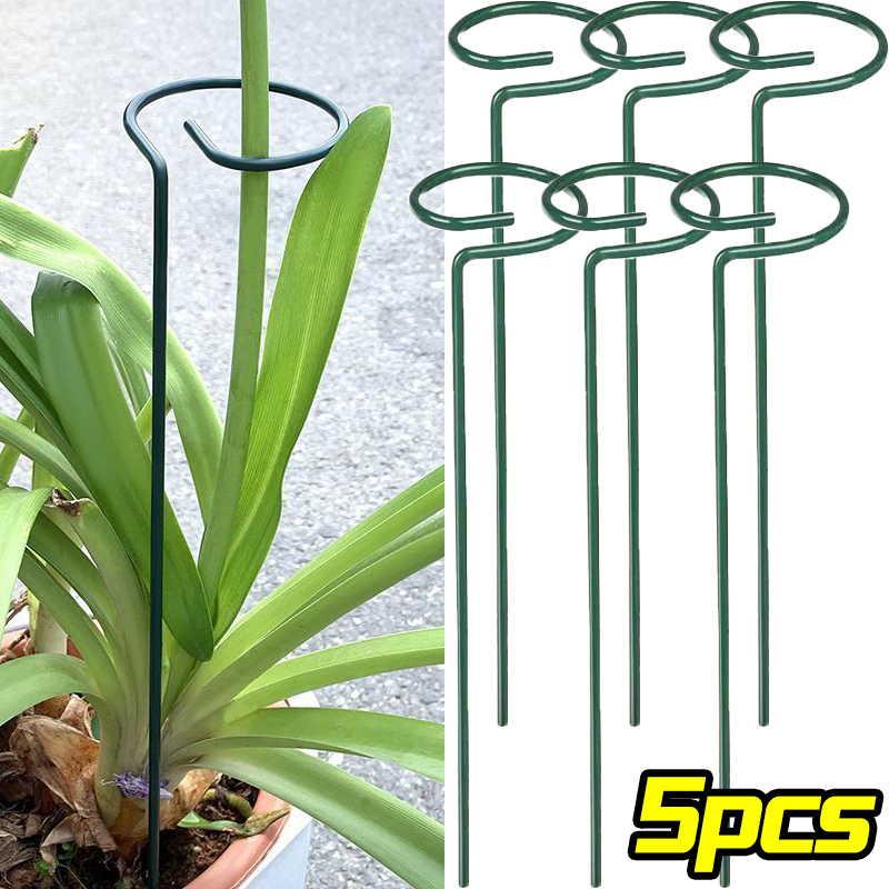 1/10pcs Garden Support Stake R - مراجعة Florist Supply Bulk وسعره