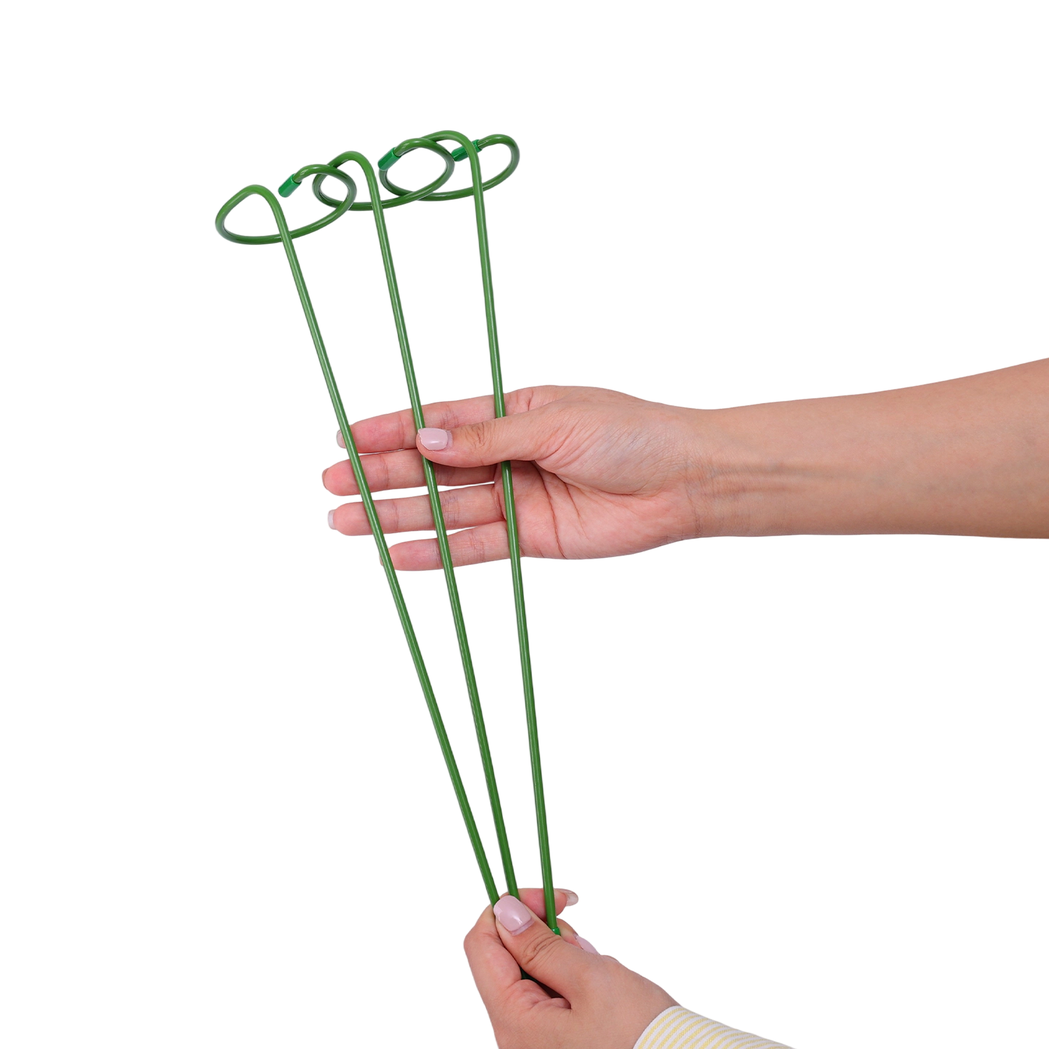 1/10pcs Garden Support Stake R - مراجعة Florist Supply Bulk وسعره