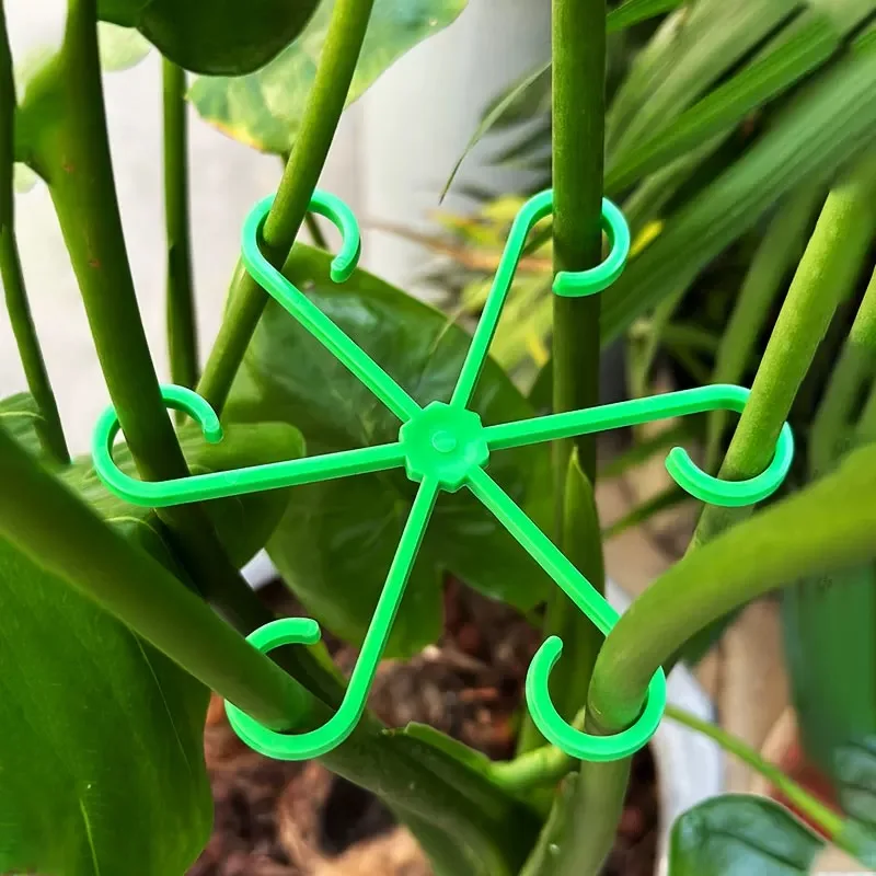Flower Plant Stem Support Stak - مراجعة Florist Supply Bulk وسعره