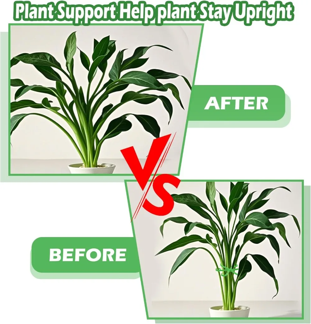 Flower Plant Stem Support Stak - مراجعة Florist Supply Bulk وسعره