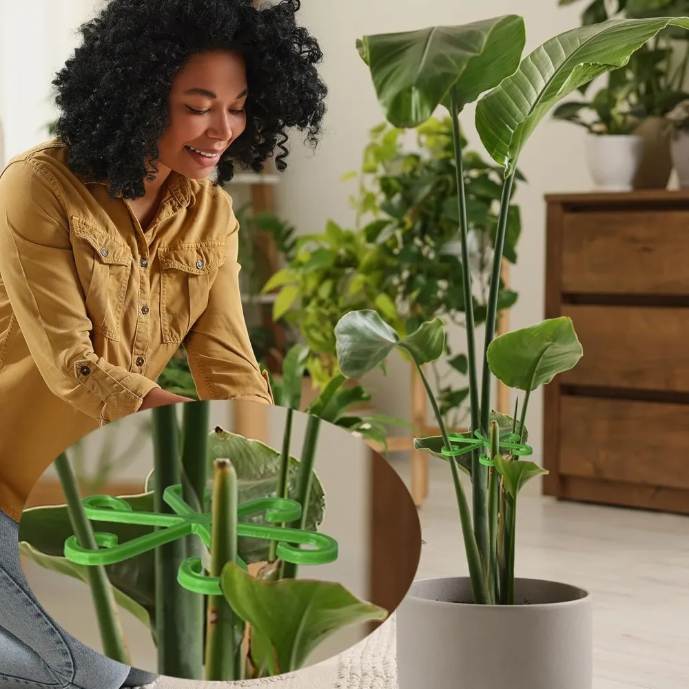 Flower Plant Stem Support Stak - مراجعة Florist Supply Bulk وسعره