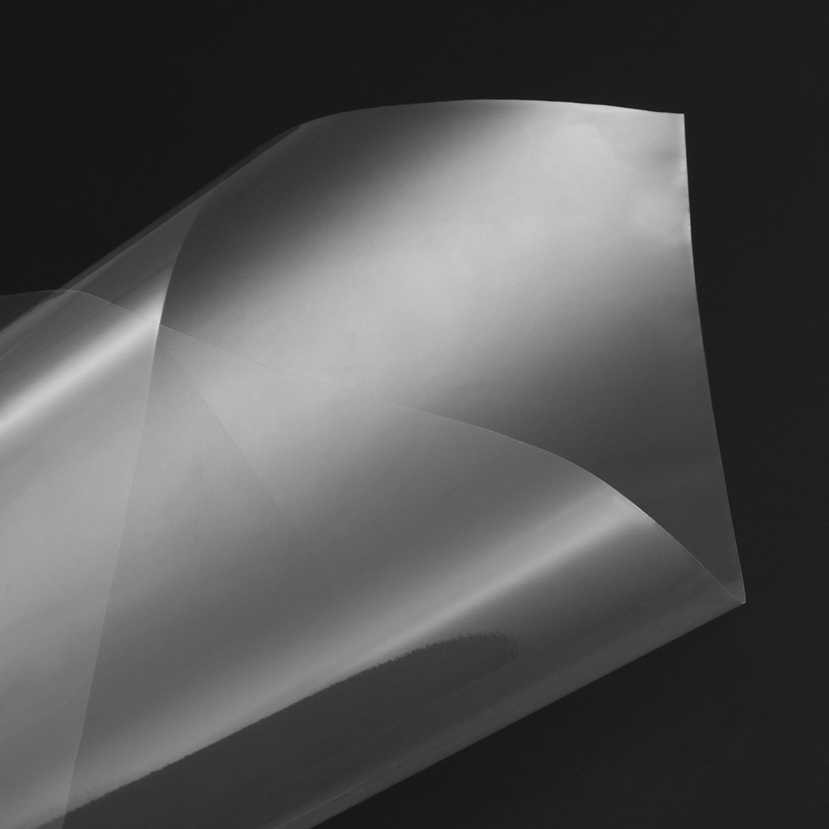 10M X 54Cm Clear Cellophane Wr - مراجعة Cellophane Wrap Clear وسعره