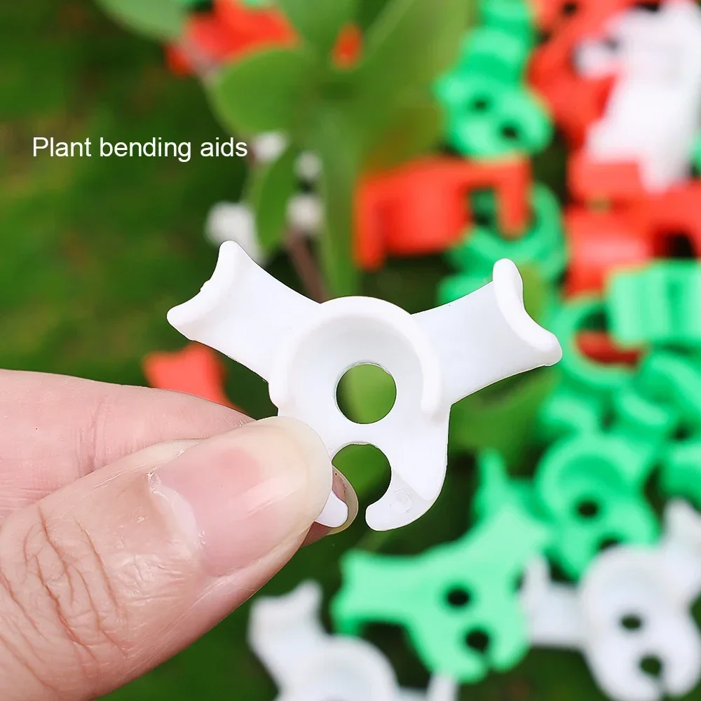 Wholesale Plant Clamp Bending  - مراجعة Florist Supply Bulk وسعره