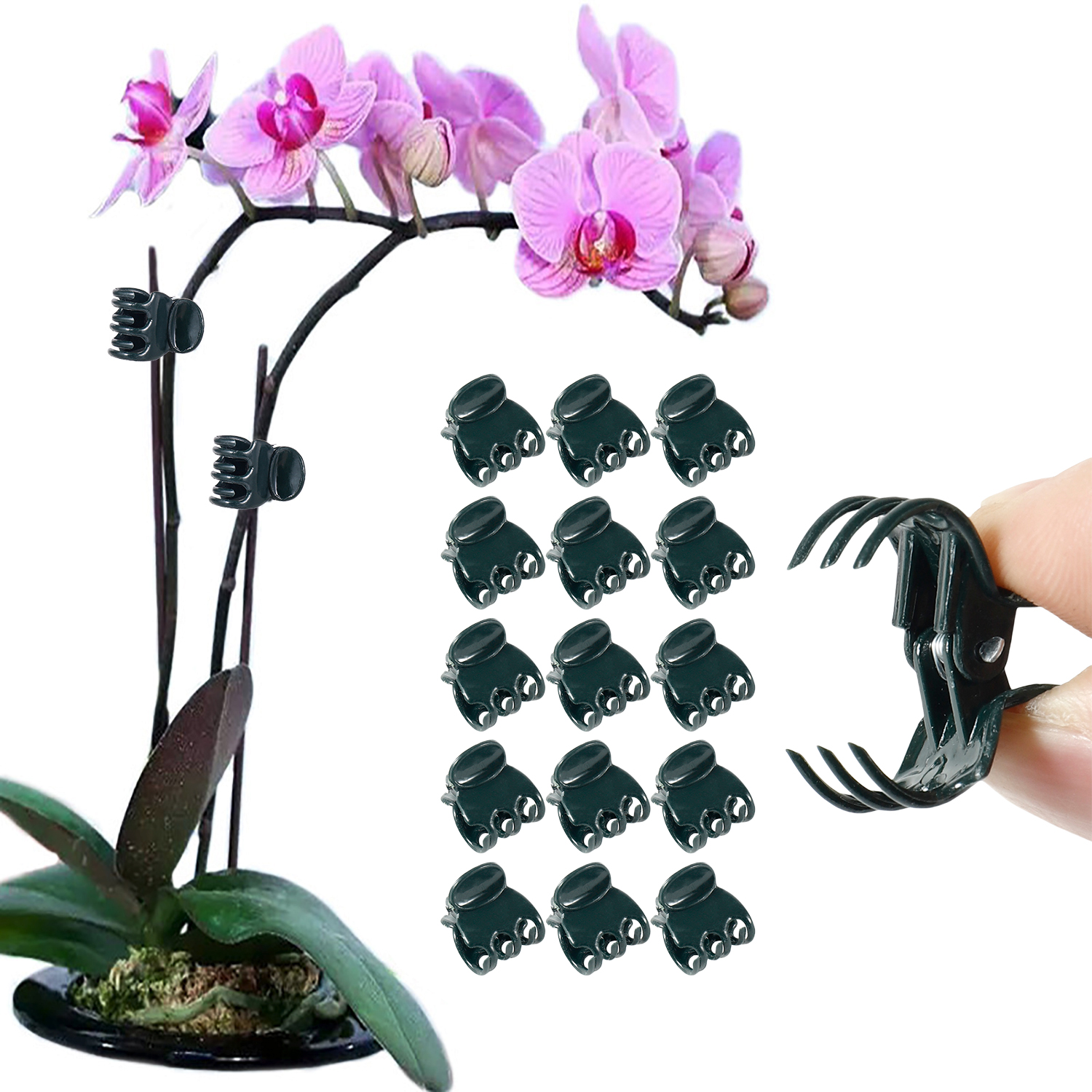 50/100Pcs Plant Clips Butterfl - مراجعة Florist Supply Bulk وسعره