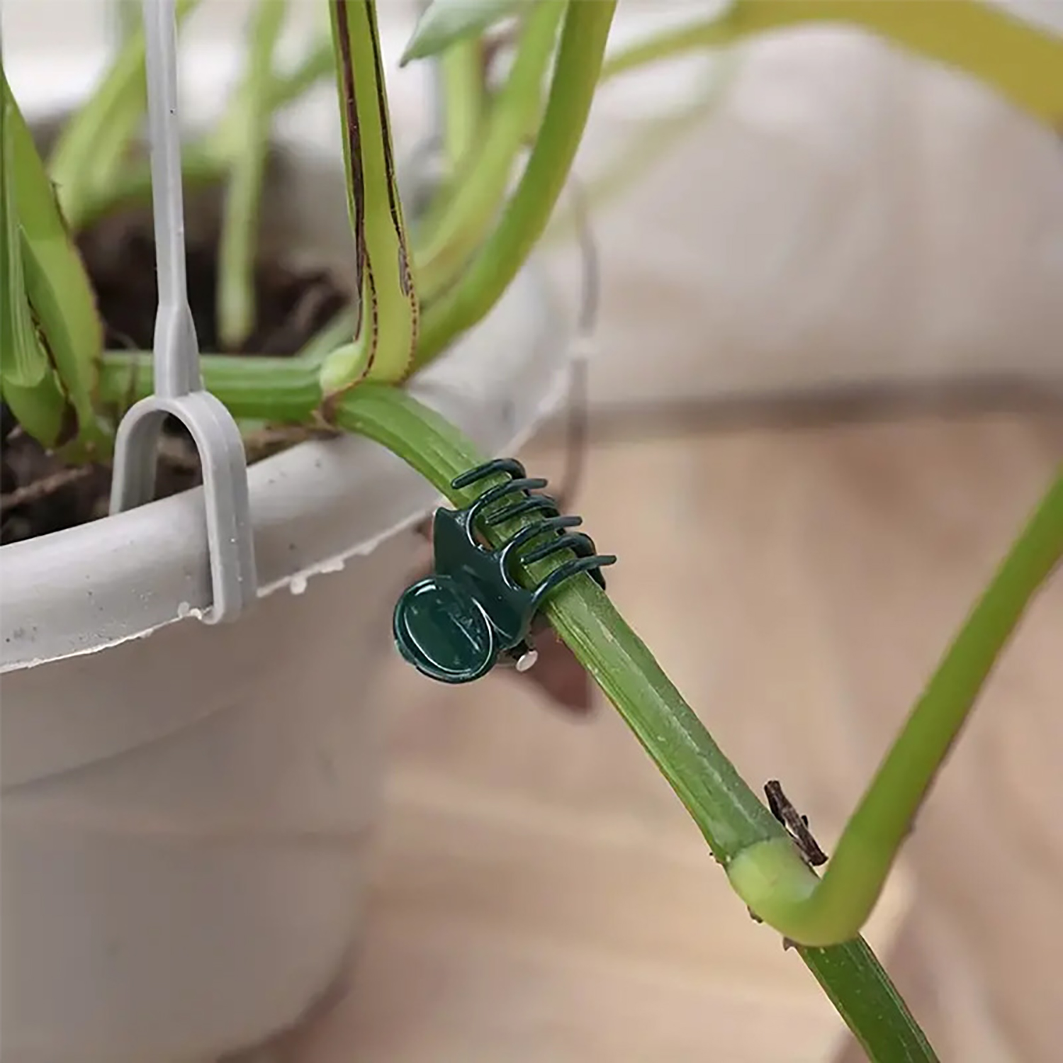 50/100Pcs Plant Clips Butterfl - مراجعة Florist Supply Bulk وسعره