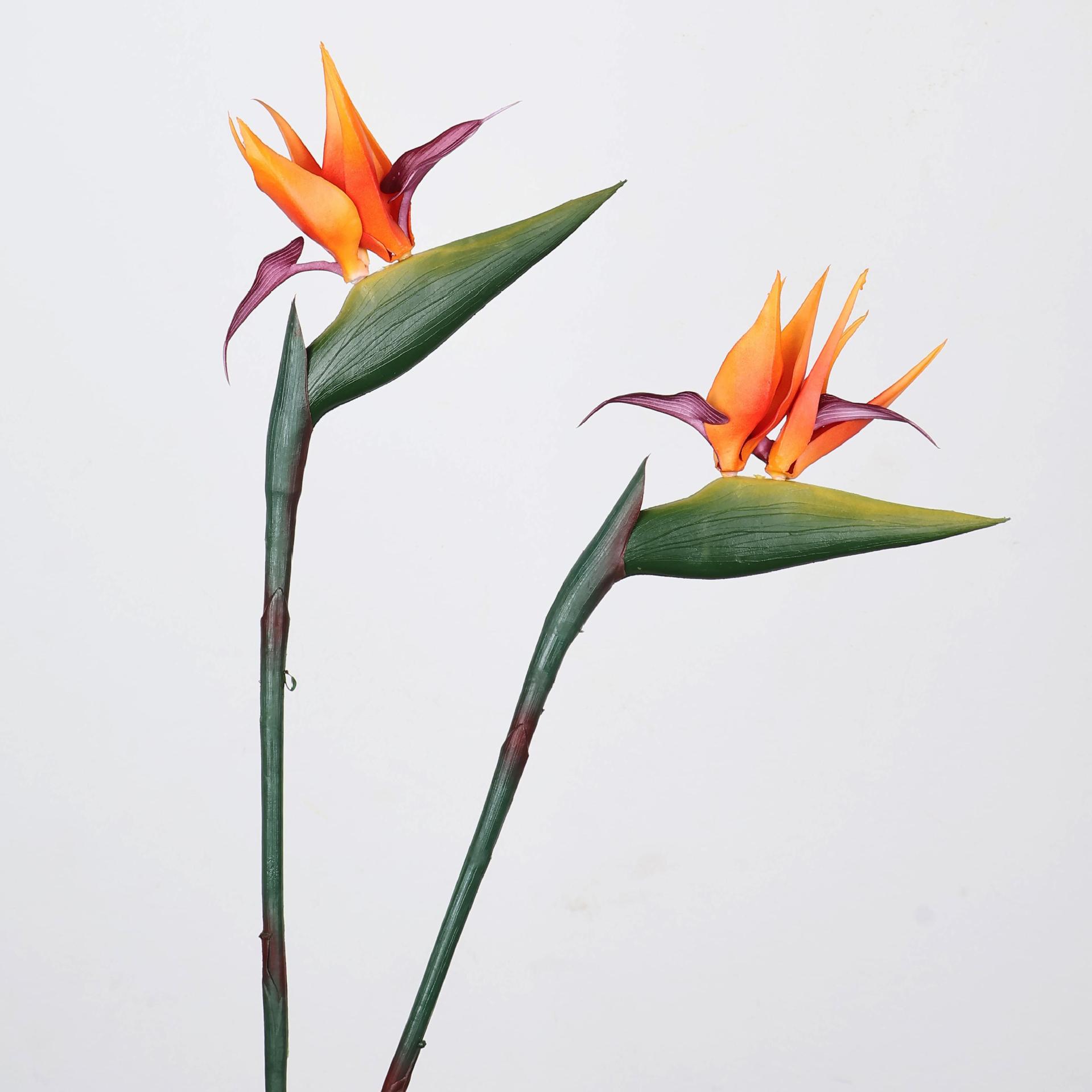 33 Inch Artificial Bird Of Par - مراجعة Florist Supply Bulk وسعره