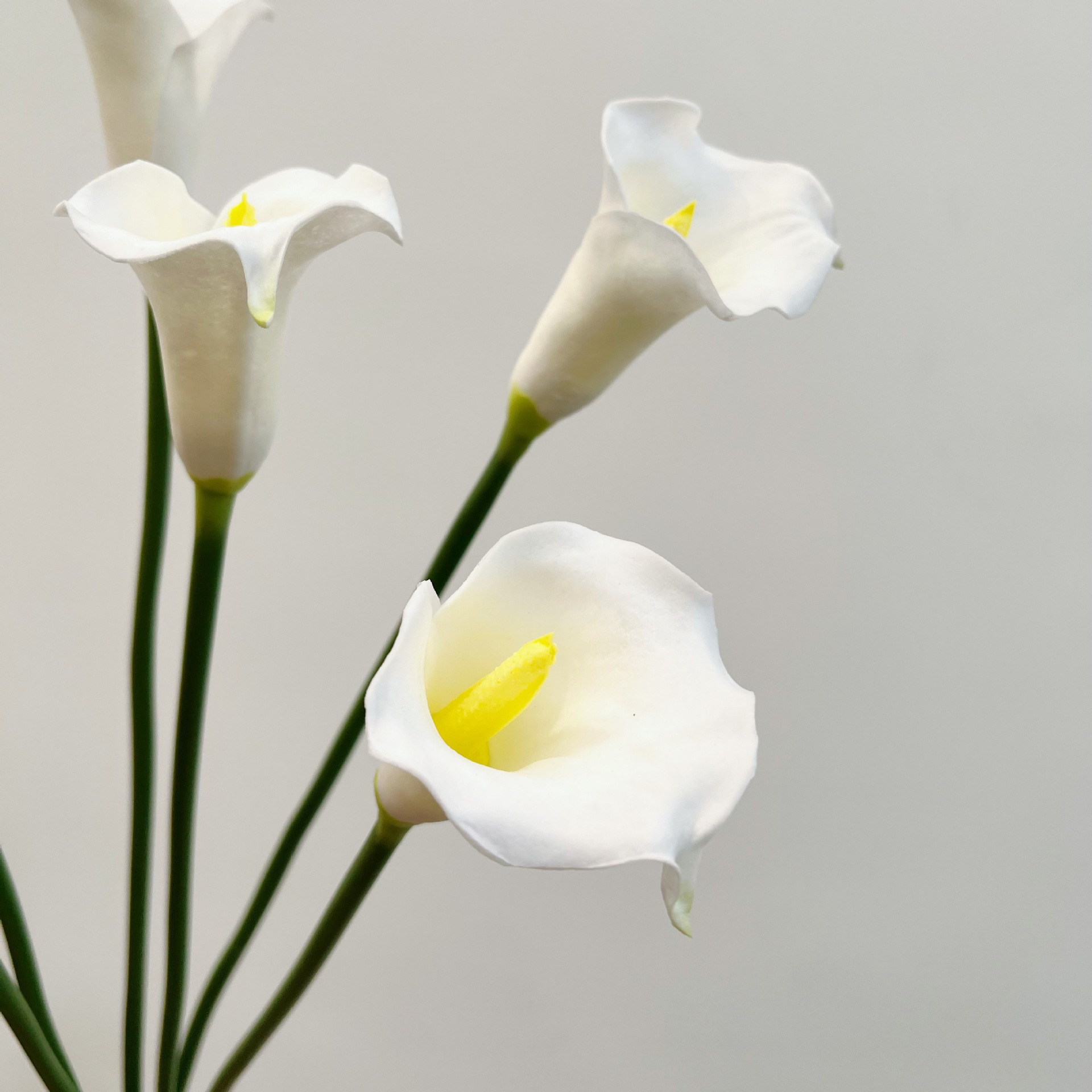 26 Inch Single Stem Crescent C - مراجعة Florist Supply Bulk وسعره