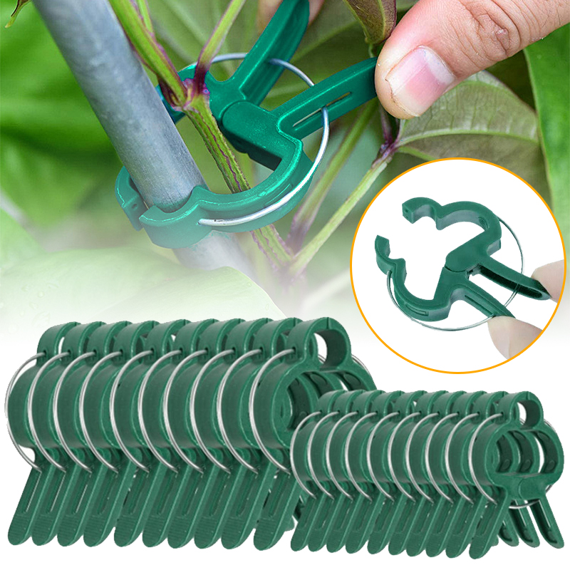 20Pcs Plant Fixed Clips Reusab - مراجعة Florist Supply Bulk وسعره