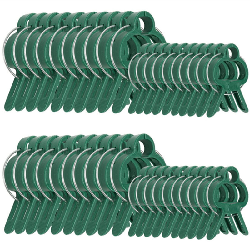 20Pcs Plant Fixed Clips Reusab - مراجعة Florist Supply Bulk وسعره