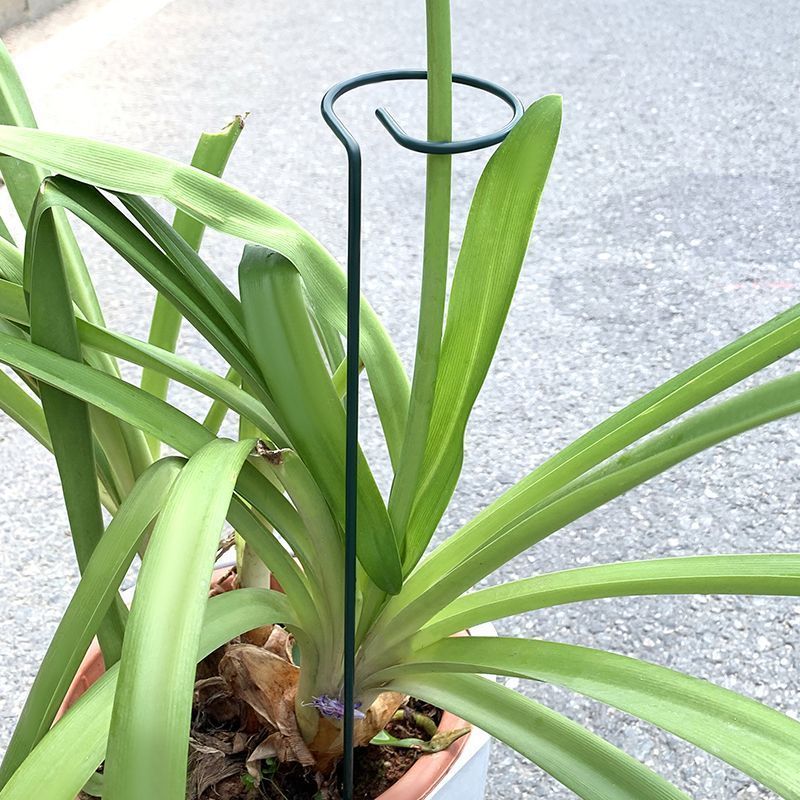 1-10pcs Metal Single Stem Plan - مراجعة Florist Supply Bulk وسعره