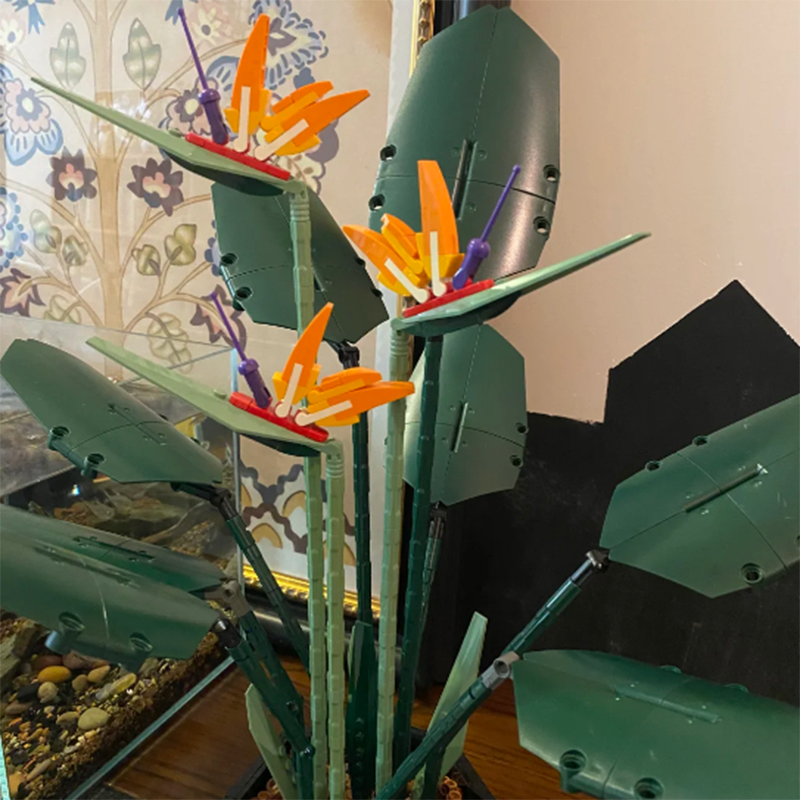 1378PCS Paradise Bird Potted P - مراجعة Florist Supply Bulk وسعره